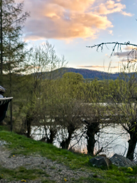 Sauna nad stawem